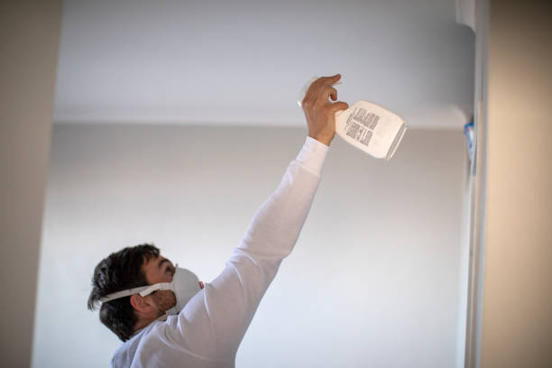 Best Mold Remediation for Schools in Harbor Springs, MI