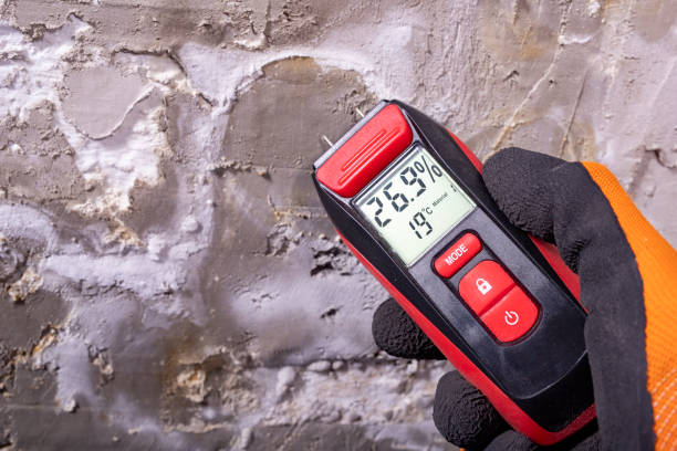 Best Mold Remediation for Specific Building Types in Harbor Springs, MI