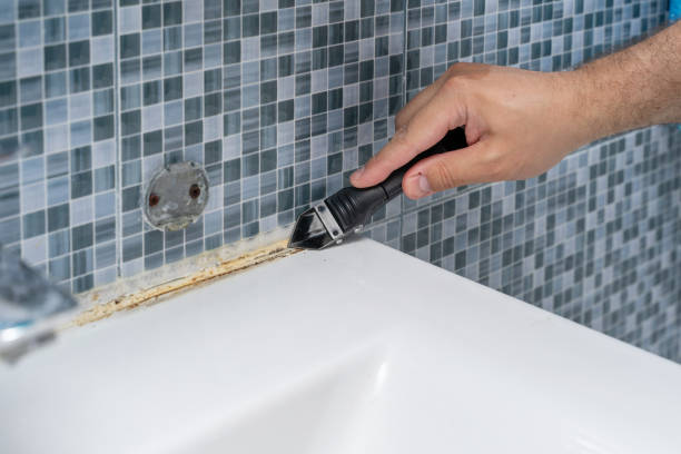 Harbor Springs, MI Mold Remediation Company